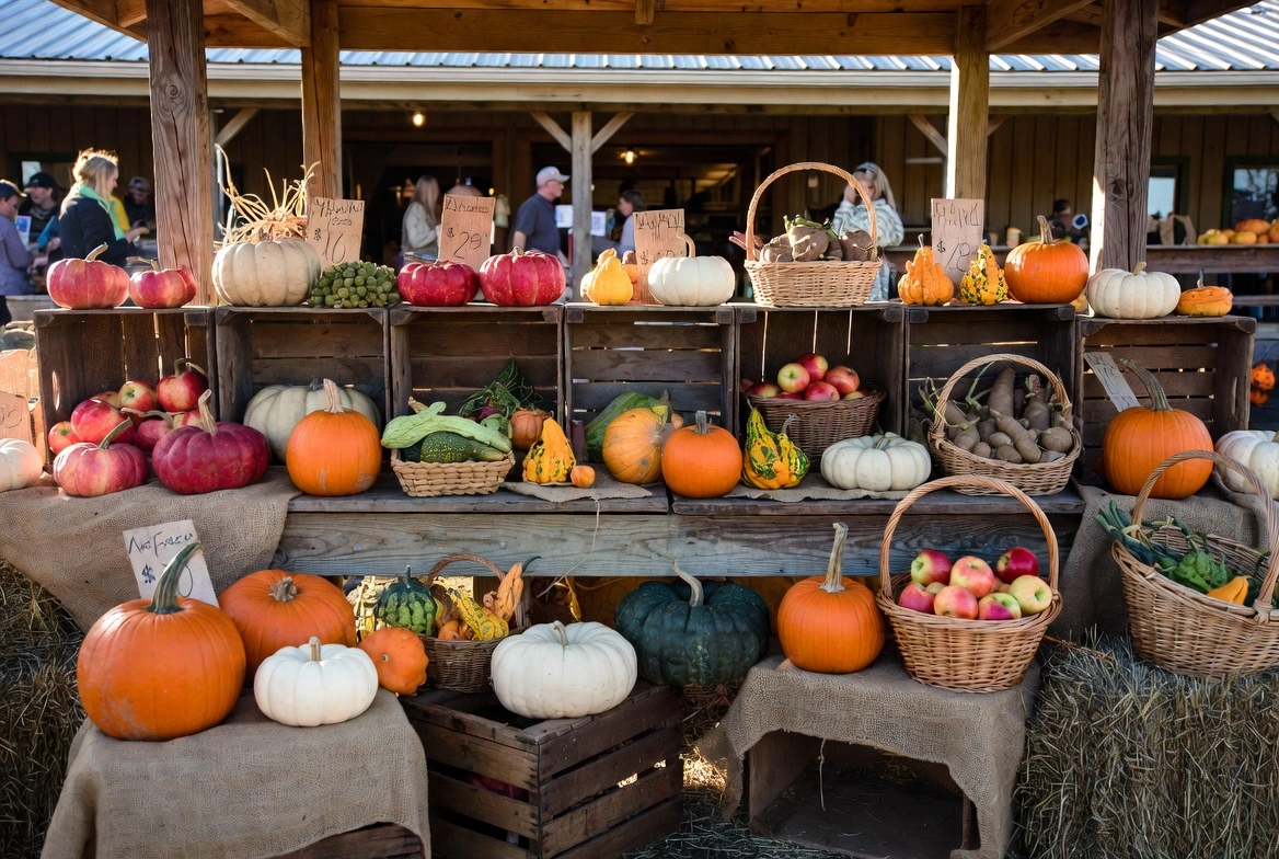 Top farms for fall fun around Madison WI displaying rustic farm market stand with colorful pumpkins gourds apples and seasonal vegetables at Wisconsin harvest location