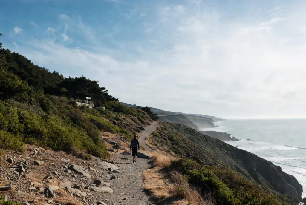 Pro Tips and Insider Secrets for Your Pacific Coast Highway Road Trip