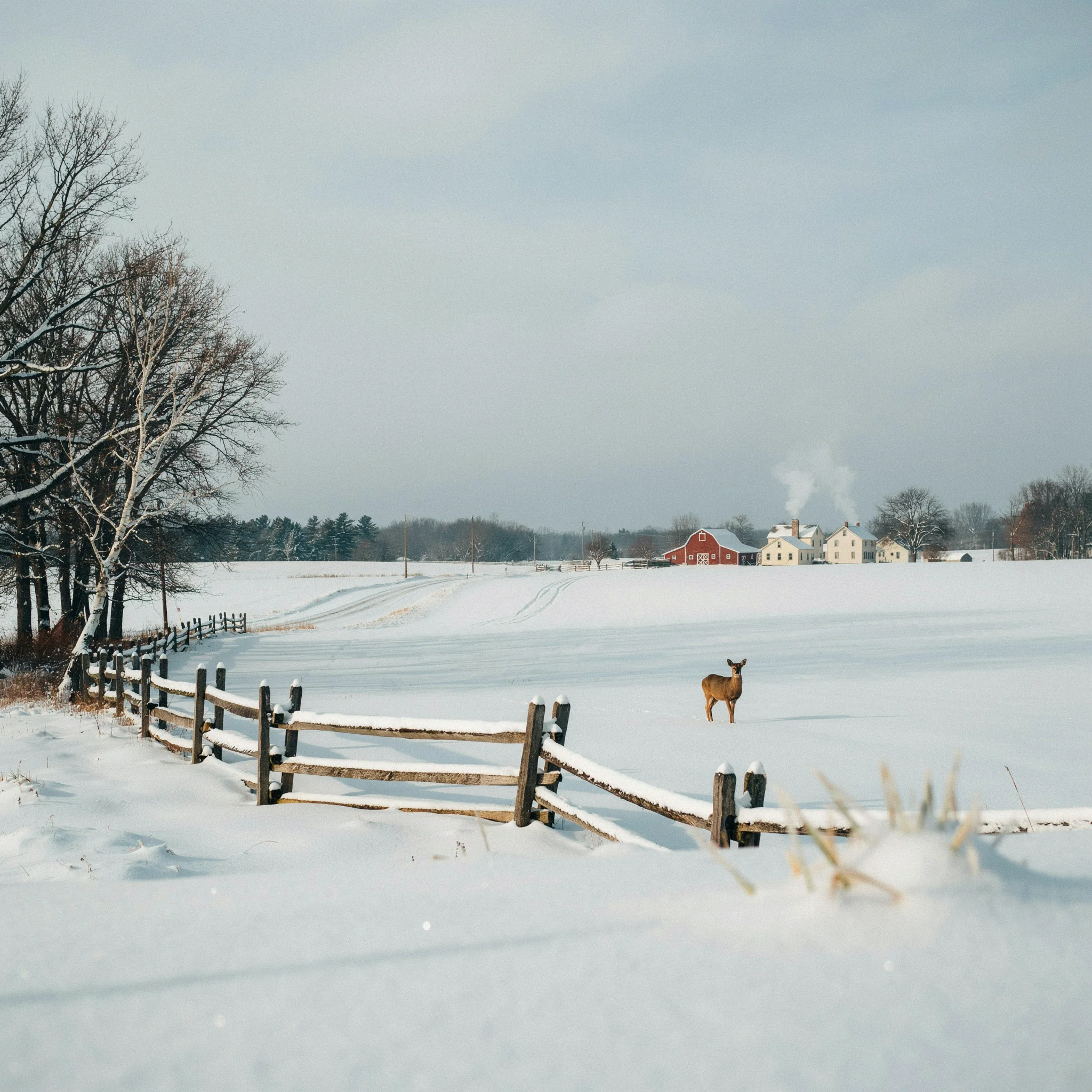 snowy countryside