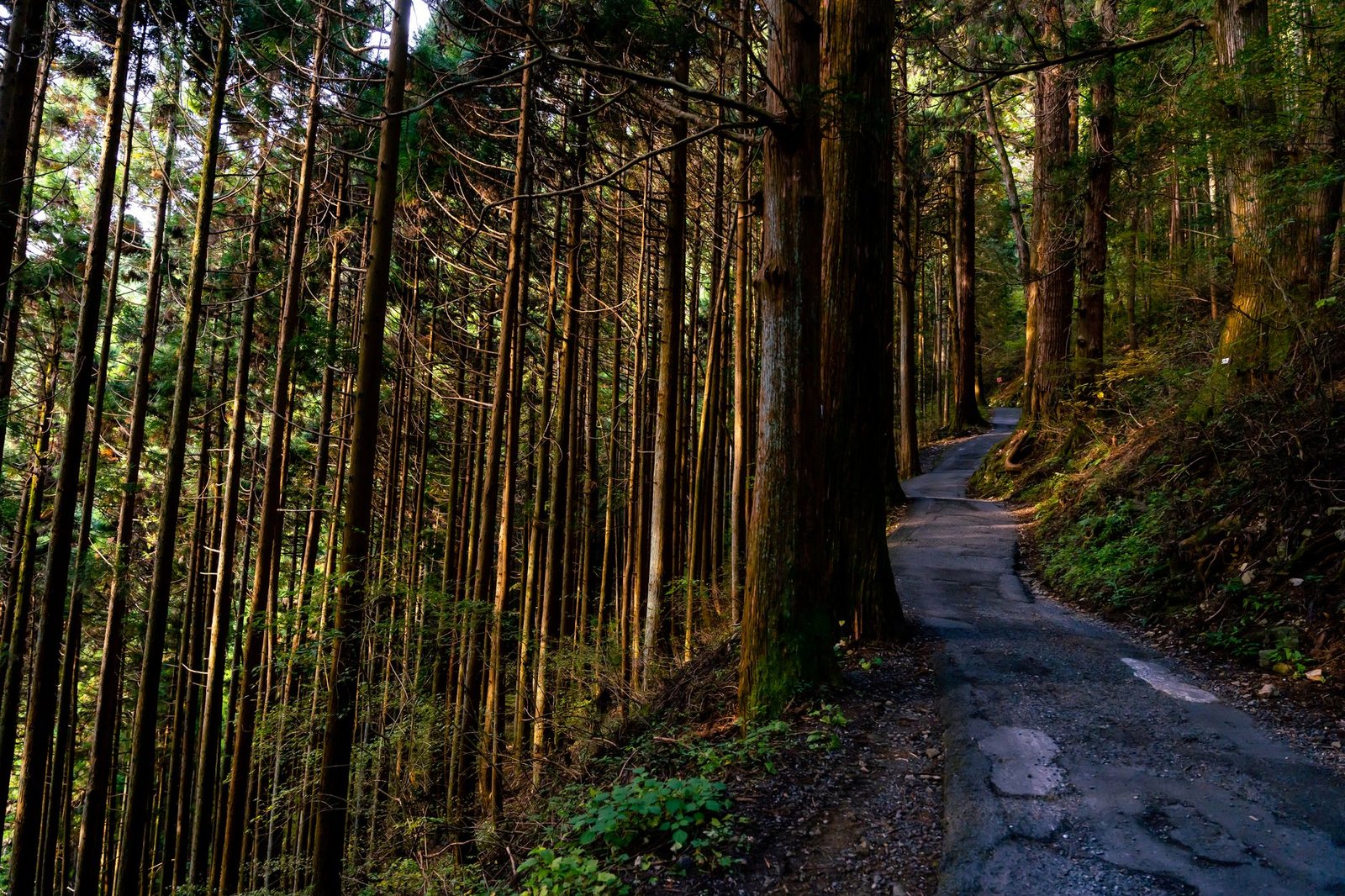 Chichibu: Rural Valleys, Sake Breweries and Starry Night Skies - best day trips from tokyo