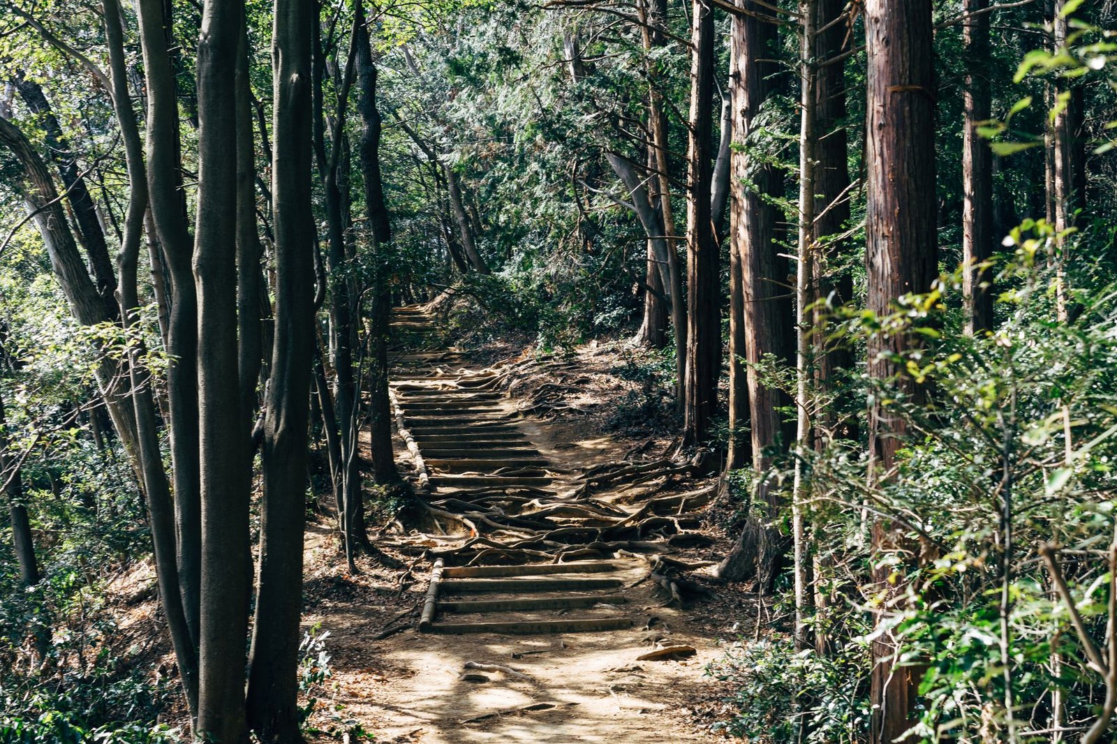 Mount Takao: The Most Accessible Nature Escape from Central Tokyo - best day trips from tokyo