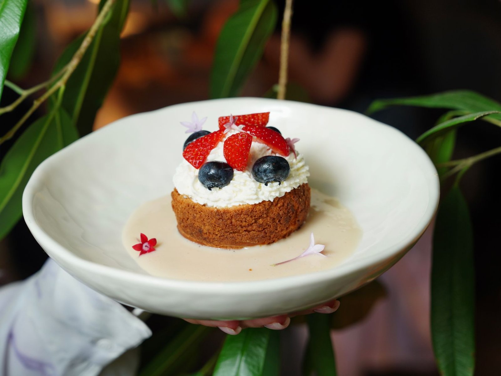 Blueberry Dishes: A Wild Alpine Ingredient Worth Seeking Out - best food in hallstatt