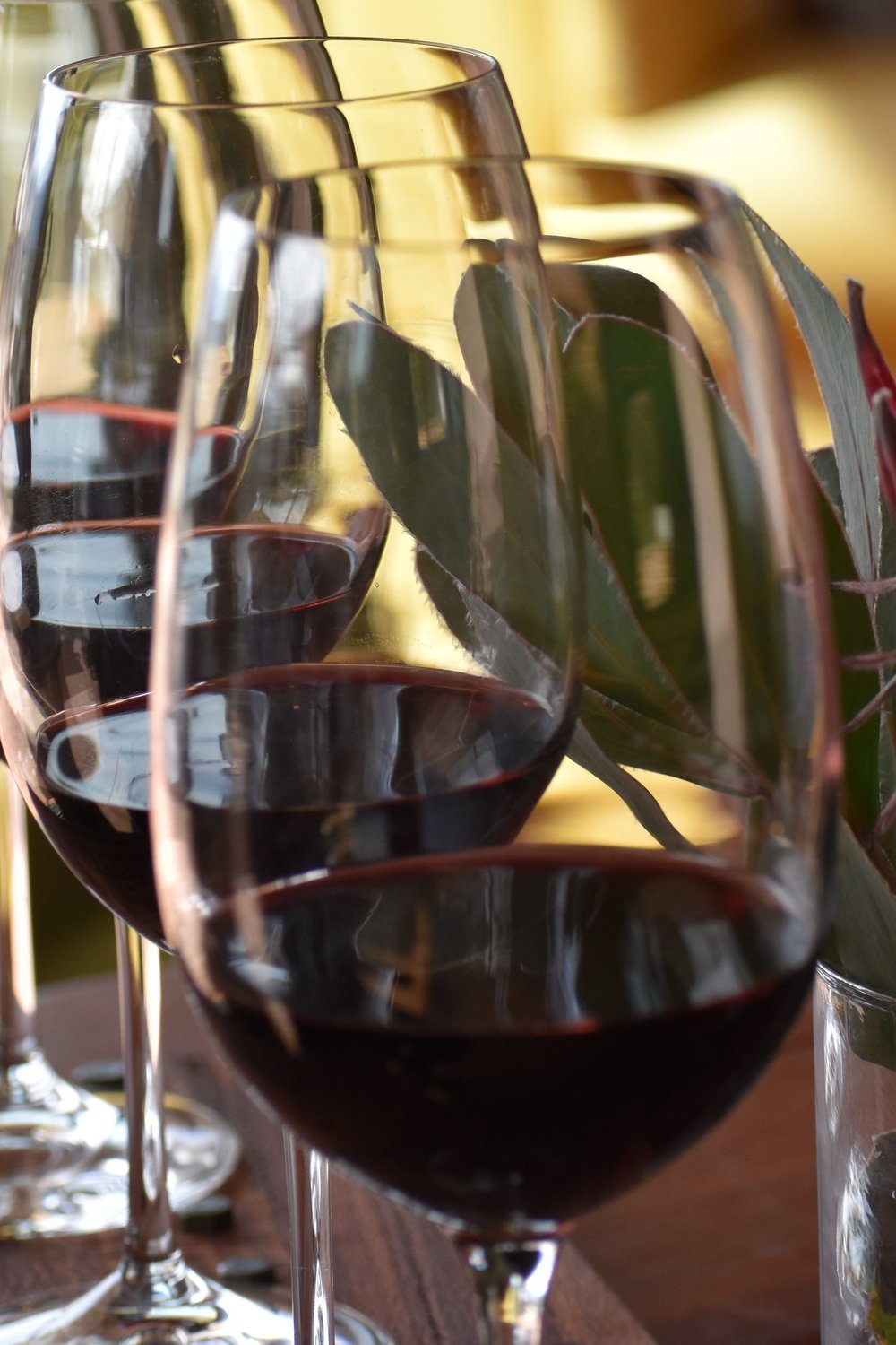 Best Time to Go for Cape Winelands Day Trips - best time to visit cape town