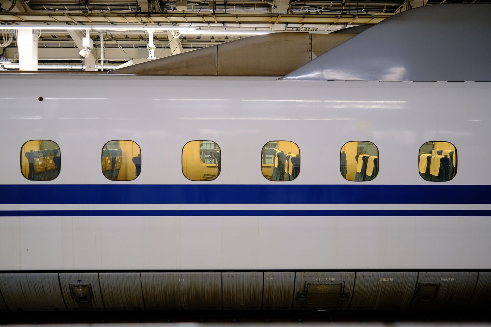 Best Day Tours from Tokyo at Every Budget: From Free to Luxury - best tours from tokyo