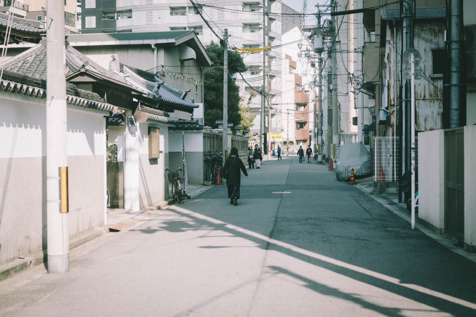 Hidden Gems Tours: Tokyo's Best Kept Secrets and Local Neighborhoods - best tours from tokyo