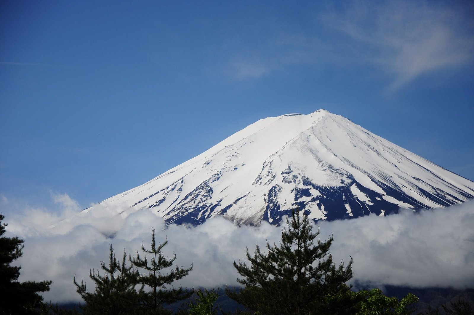 Mt Fuji Day Tours from Tokyo: What You Need to Know Before You Book - best tours from tokyo