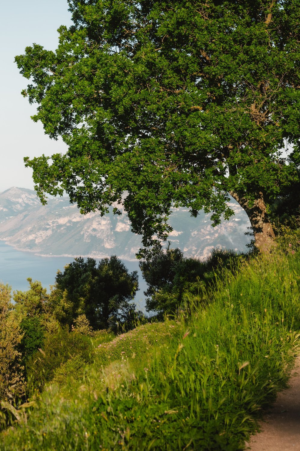 Hiking the Path of the Gods: A Positano Itinerary Highlight - positano itinerary