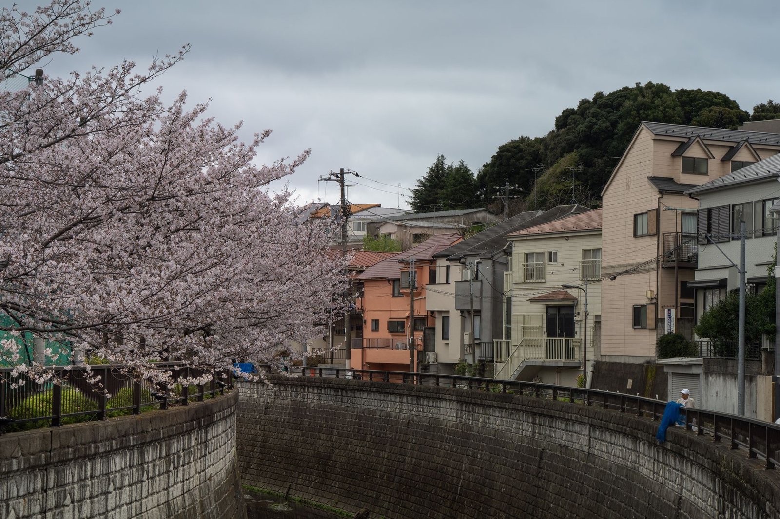 Best Time to Visit Tokyo for the Best Deals - tokyo budget guide