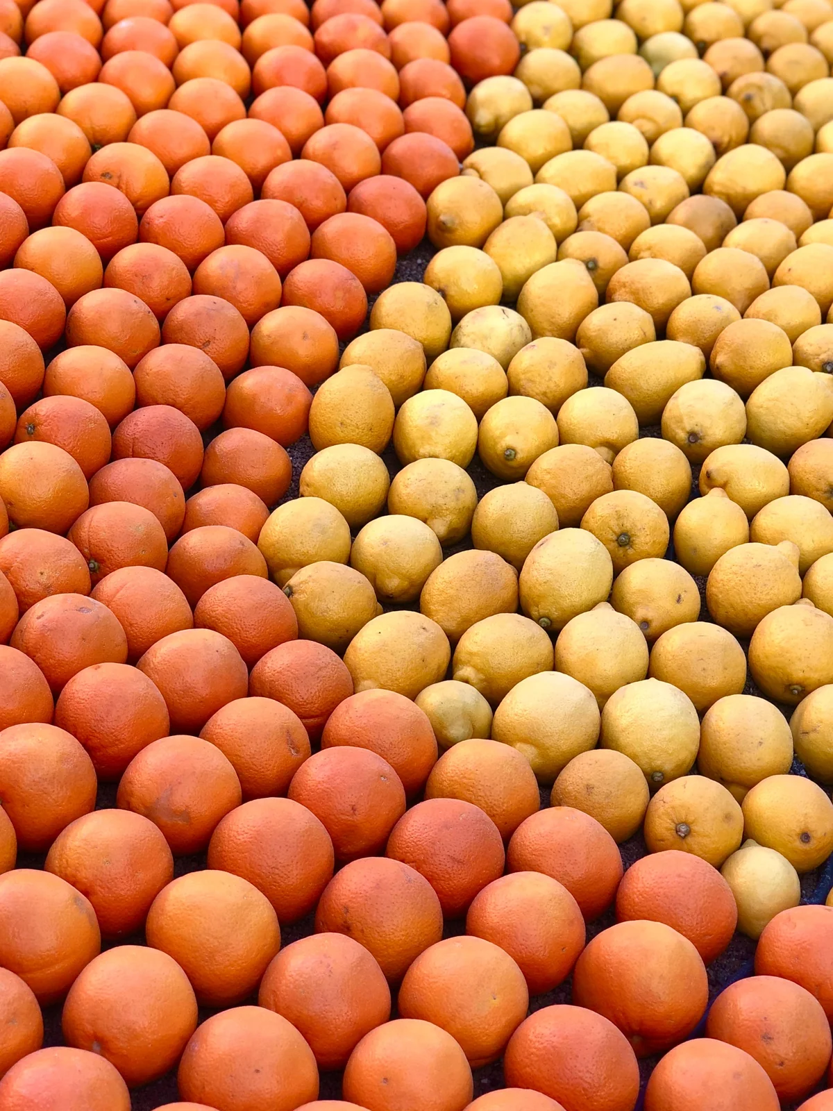 Lemon Festival Grounds - 3 day menton itinerary