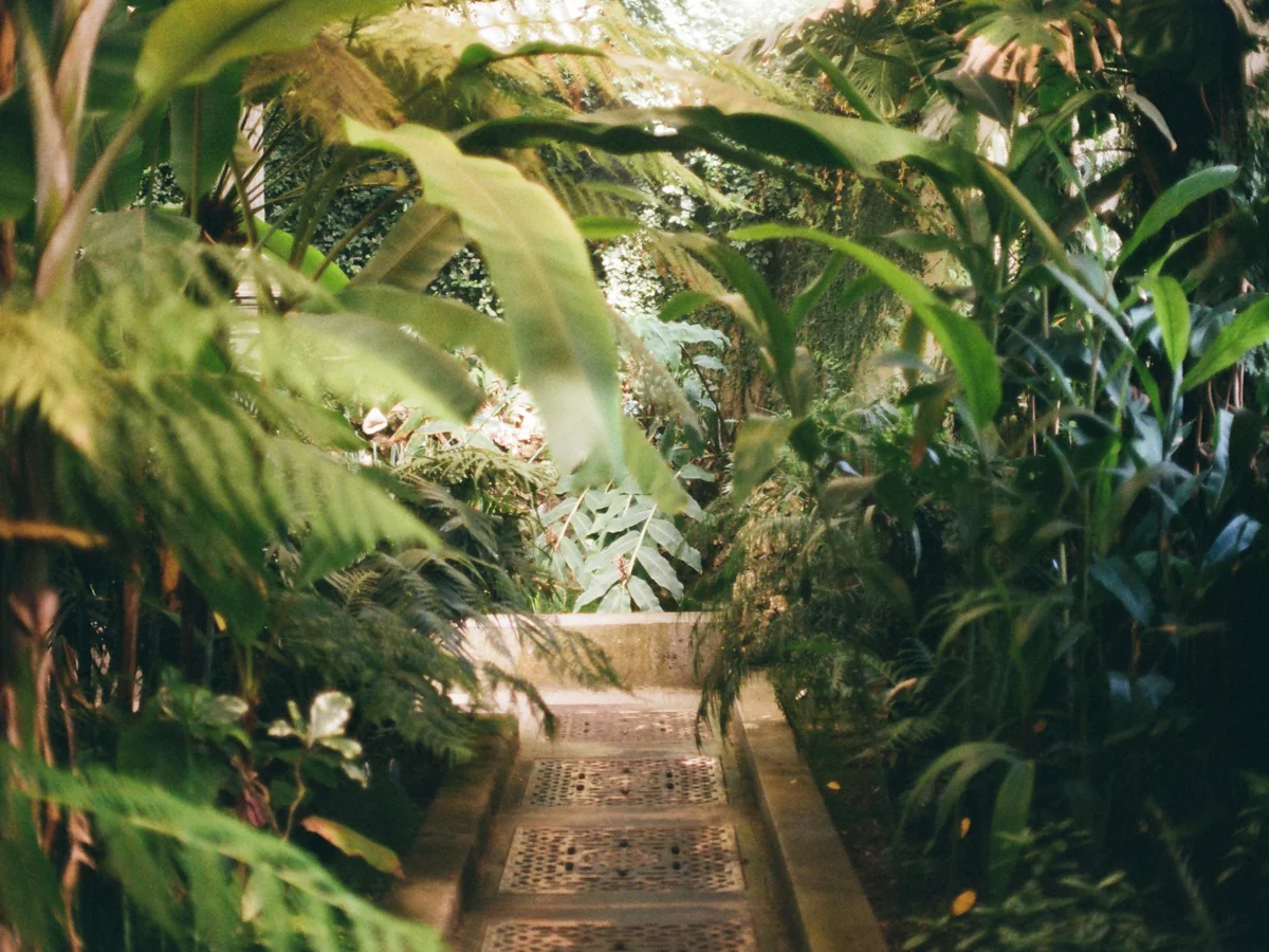 Jardin Serre de la Madone - best things to do in menton