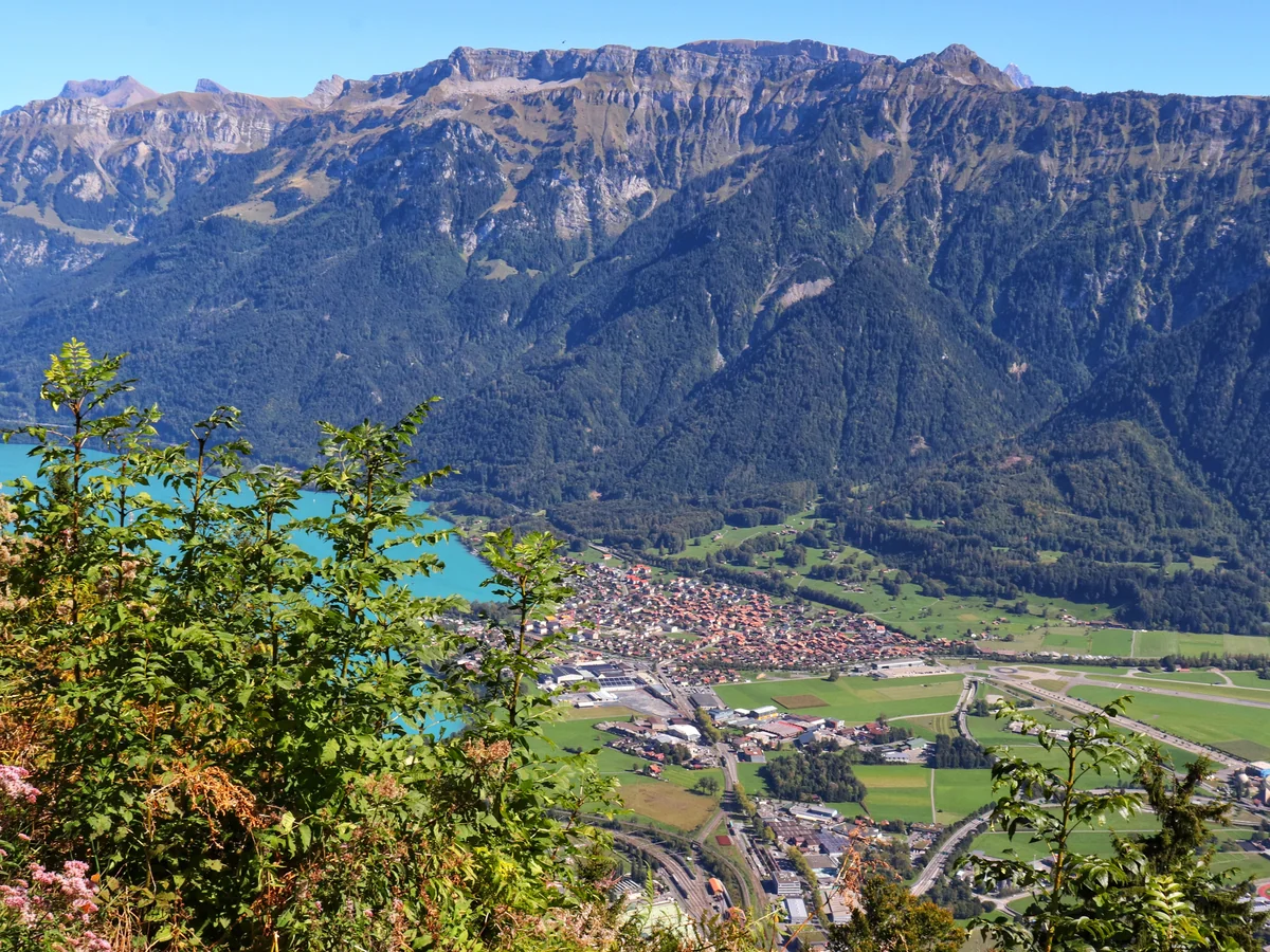 Harder Kulm Viewpoint Tour - best tours from interlaken