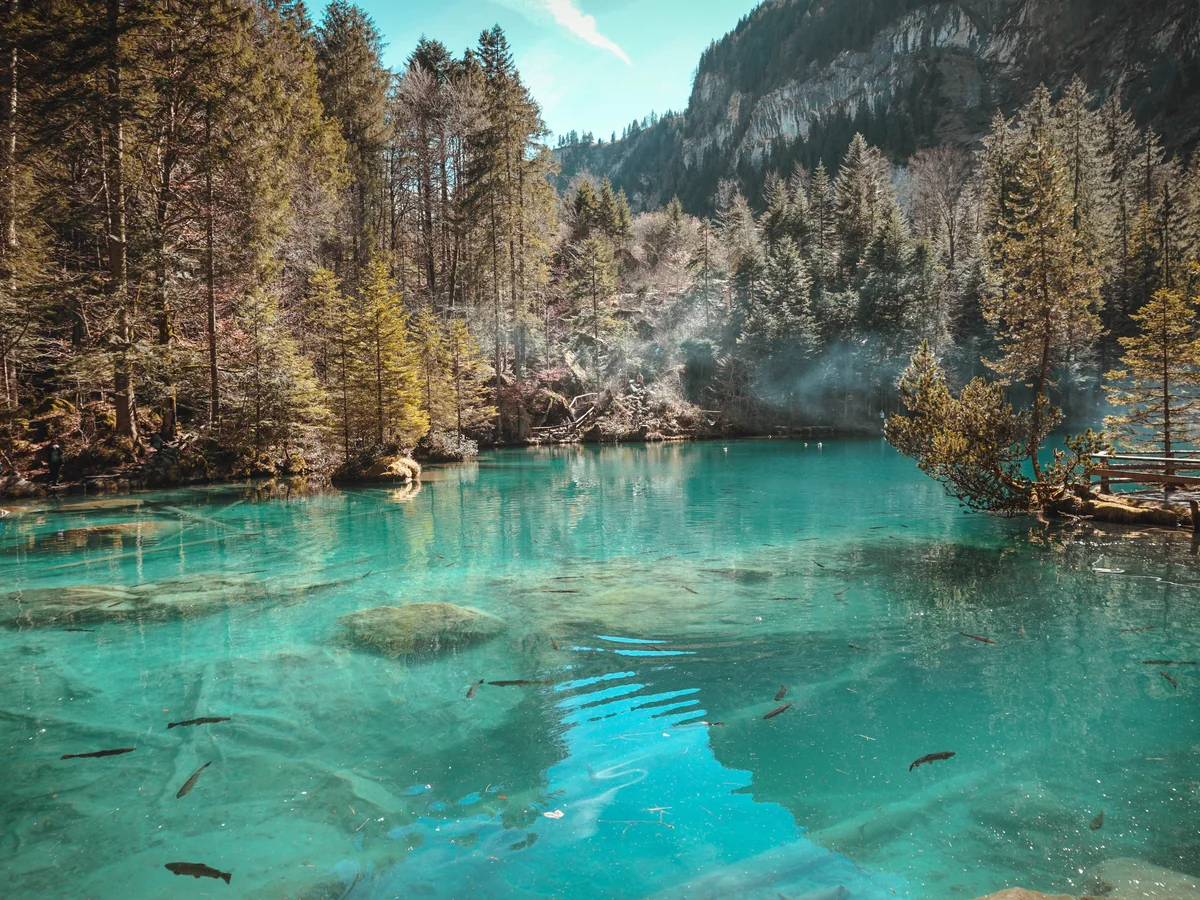 Lake Blausee Nature Trip - best tours from interlaken