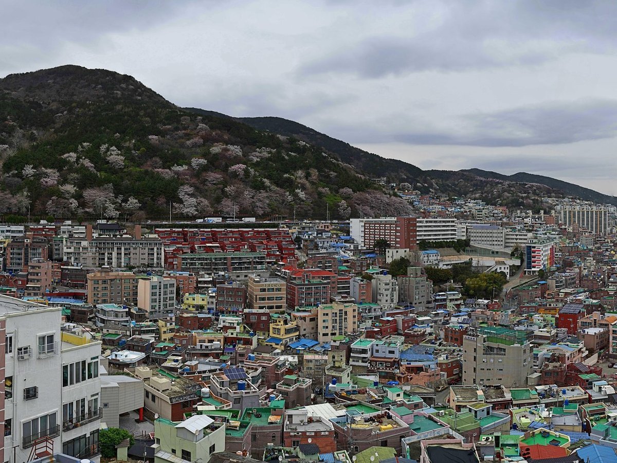 Getting Around Cape Town: Car Rental, Uber, or Tours? - cape town itinerary 5 days