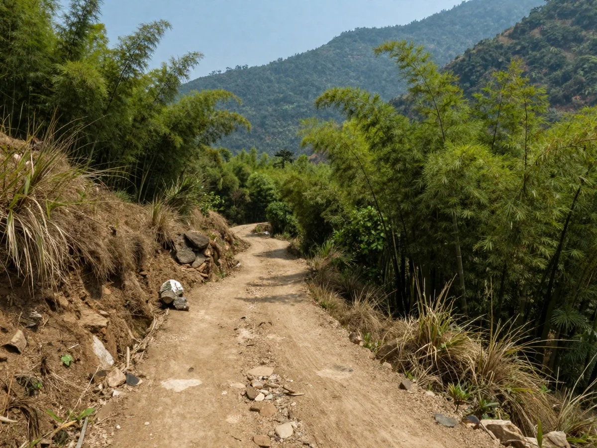 Singalila National Park - Darjeeling Travel Destinations