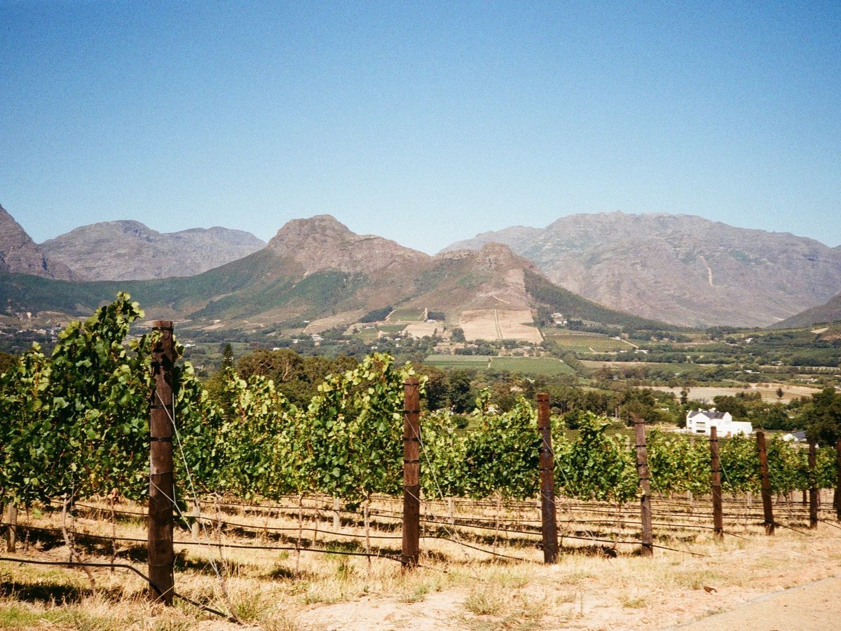 Franschhoek Valley - day trips from cape town