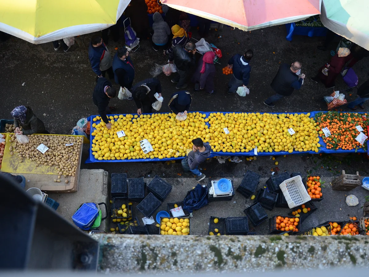 The Lemon Festival - is menton worth visiting