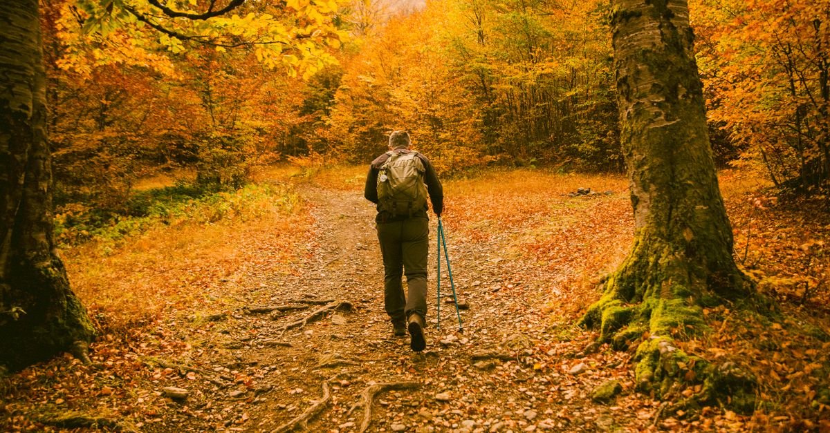 14 Best Fall Foliage Hikes in the Midwest
