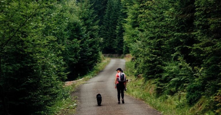 10 Best Dog-Friendly Hikes in California