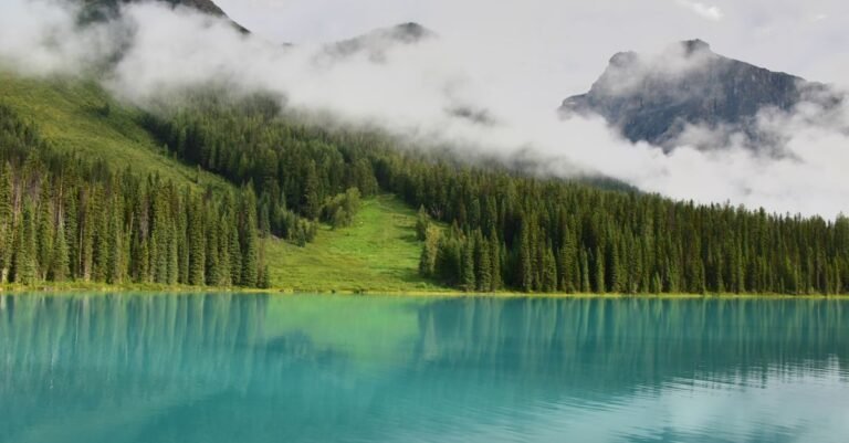 Best Lake Hikes for a Weekend Escape: 10 Easy Trails Worth the Drive