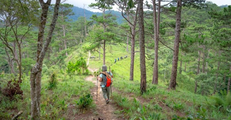 Best Dog-Friendly Hikes in Washington: 10 Trails for You and Your Pup