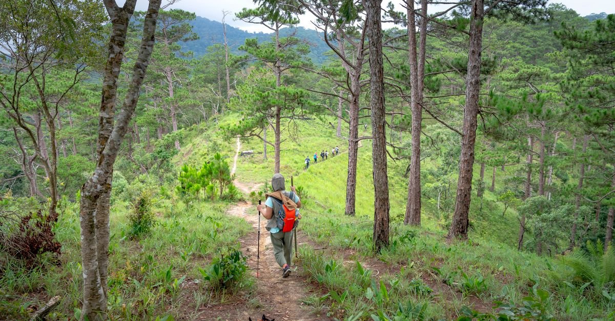 Best Dog-Friendly Hikes in Washington: 10 Trails for You and Your Pup