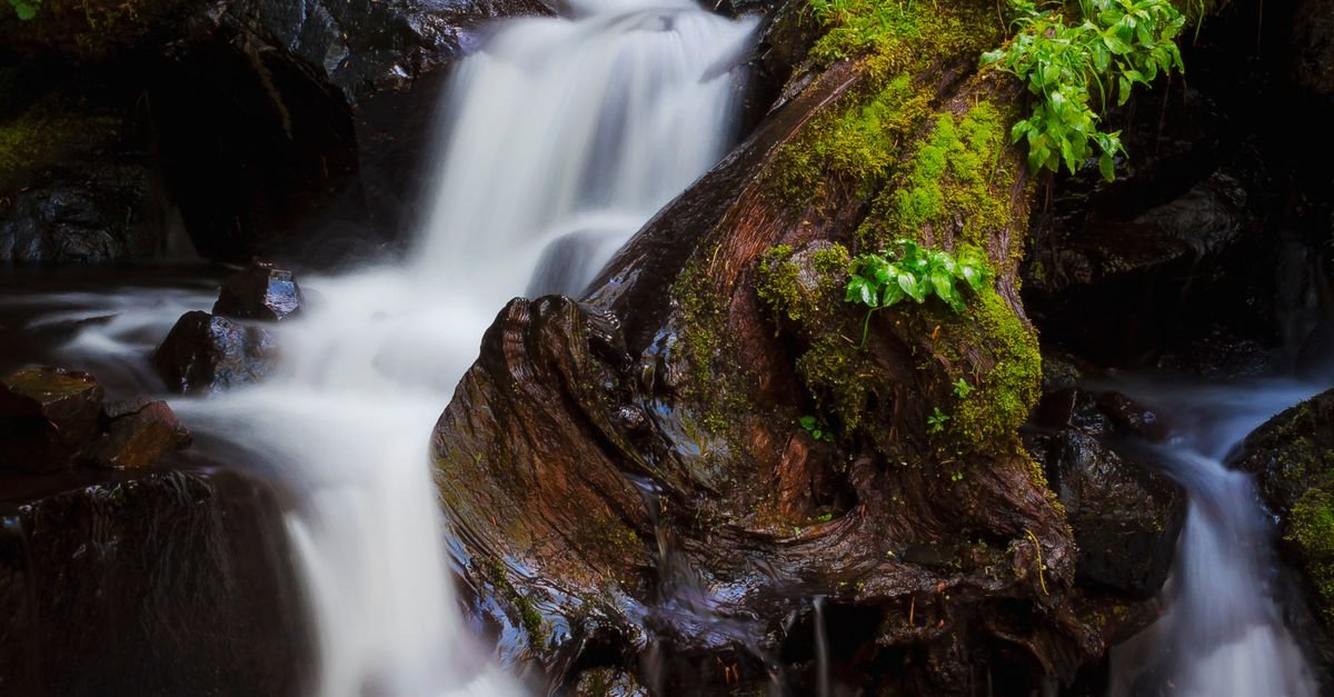 Best Waterfall Hikes for Beginners: 12 Easy Trails With Big Payoffs