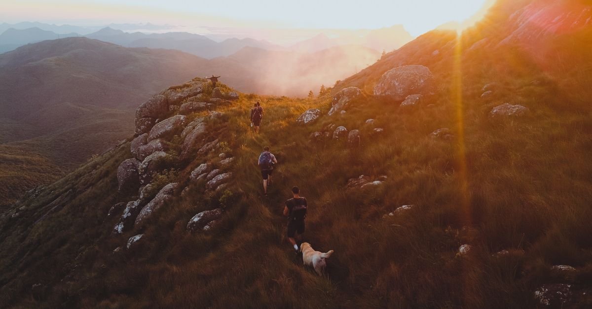 10 Best Dog-Friendly Hikes in Colorado