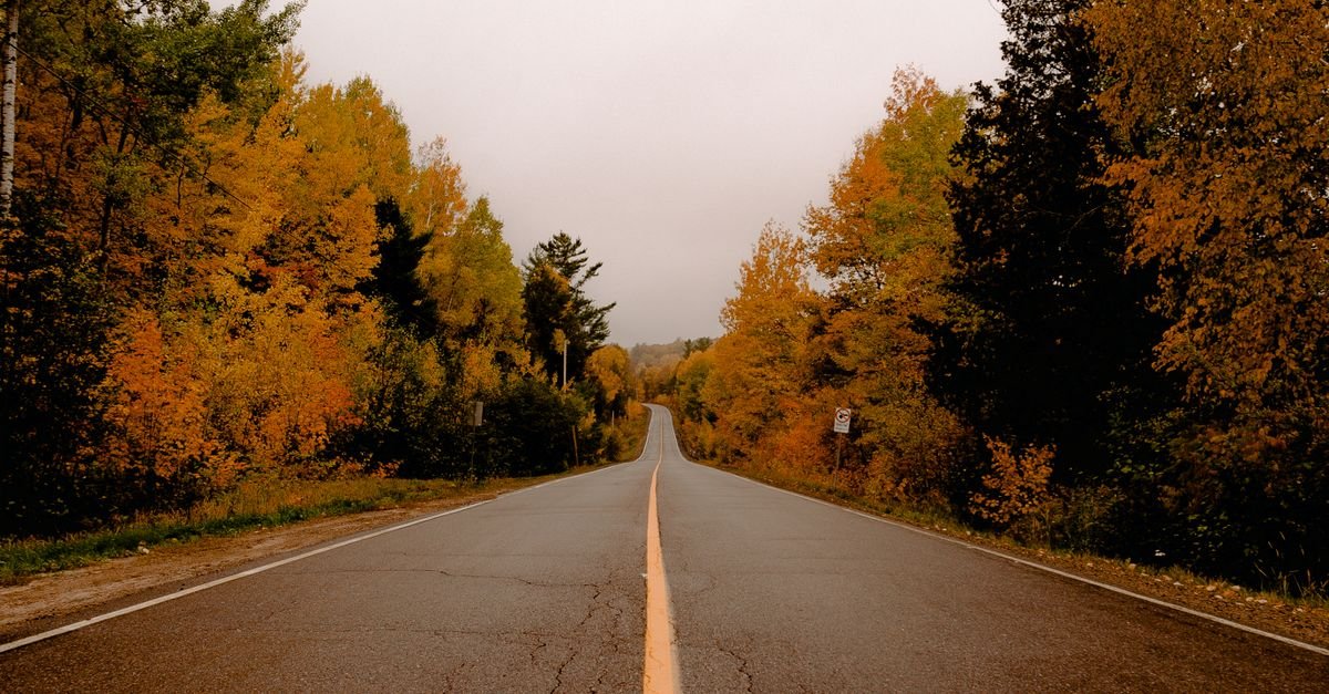15 Best Scenic Drives for Fall Colors in the USA