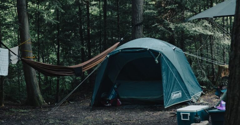 Free Dispersed Camping: How to Find and Camp on Public Land