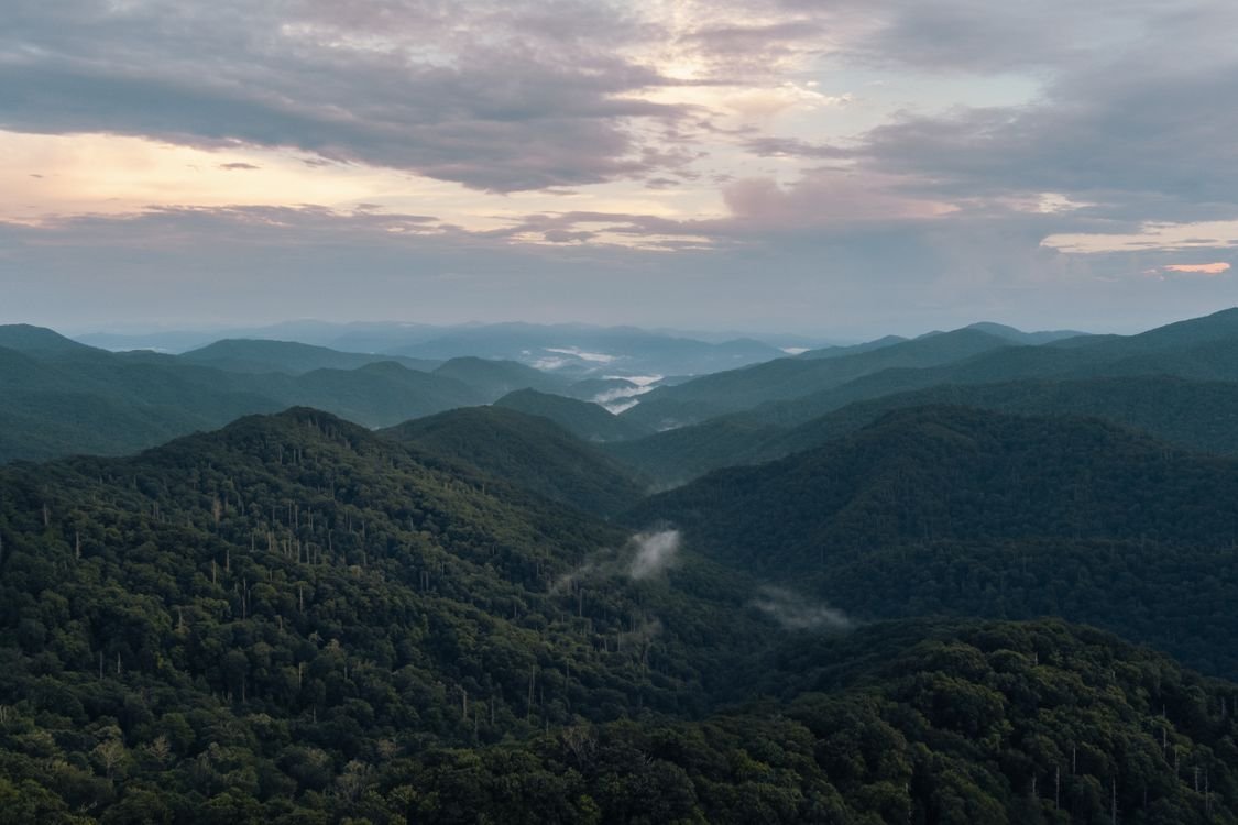The Perfect 3-Day Weekend in the Smoky Mountains (2026 Guide)