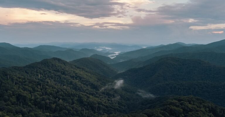 A Weekend in Great Smoky Mountains National Park: The Perfect 2-Day Itinerary