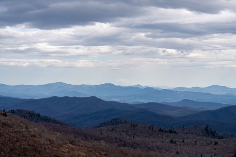 The Weekend Warrior's Guide to the Blue Ridge Parkway (2026 Guide)