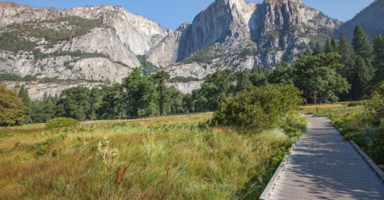 National Parks Annual Pass: Is It Worth It? (2026 Guide)