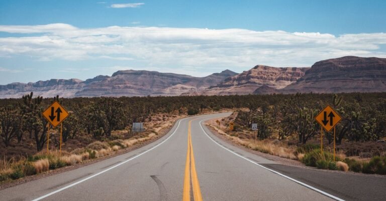 Desert Road Trip Essentials: What to Pack for Heat and Isolation