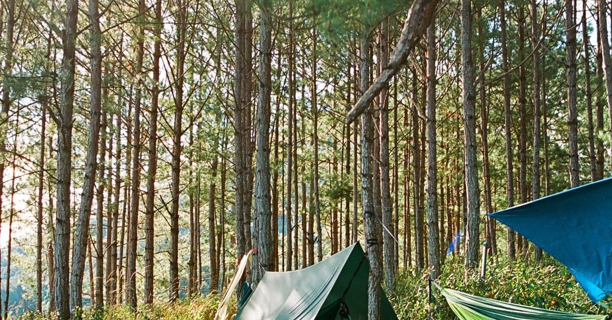 Tent Camping vs Hammock Camping: Which Is Right for You?