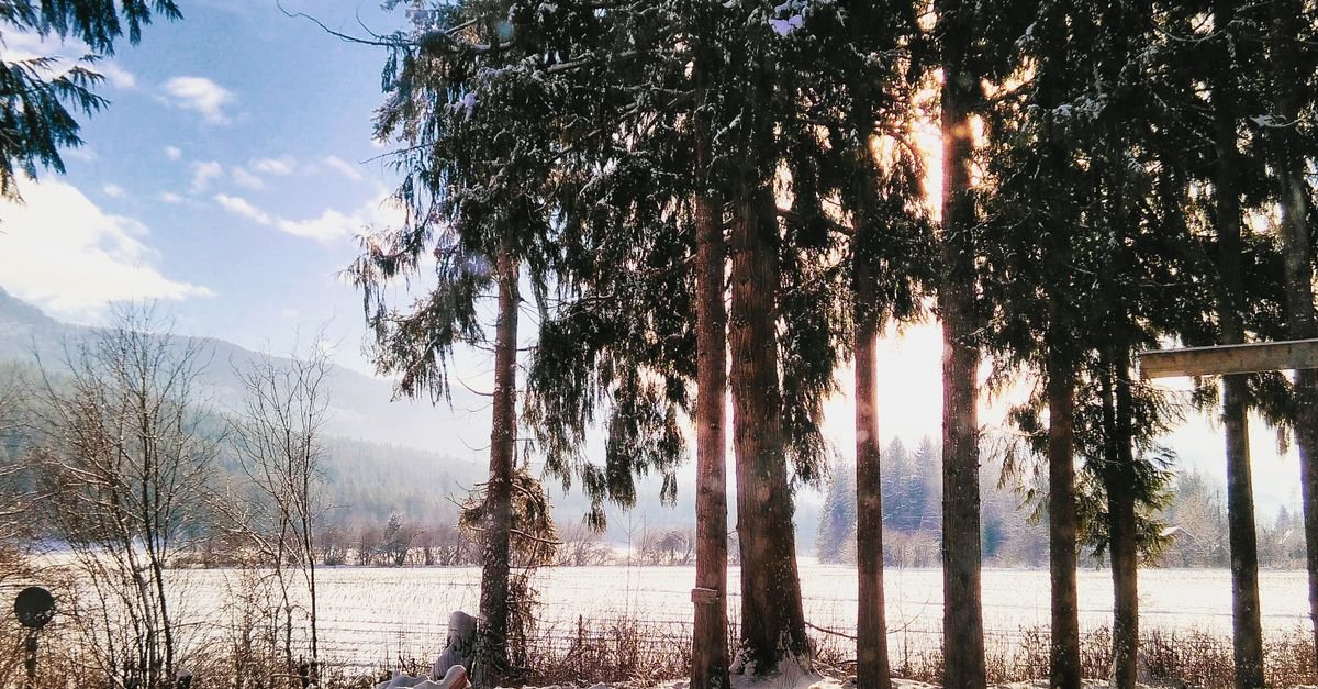 How to Poop in the Woods: A Leave No Trace Guide for Beginners