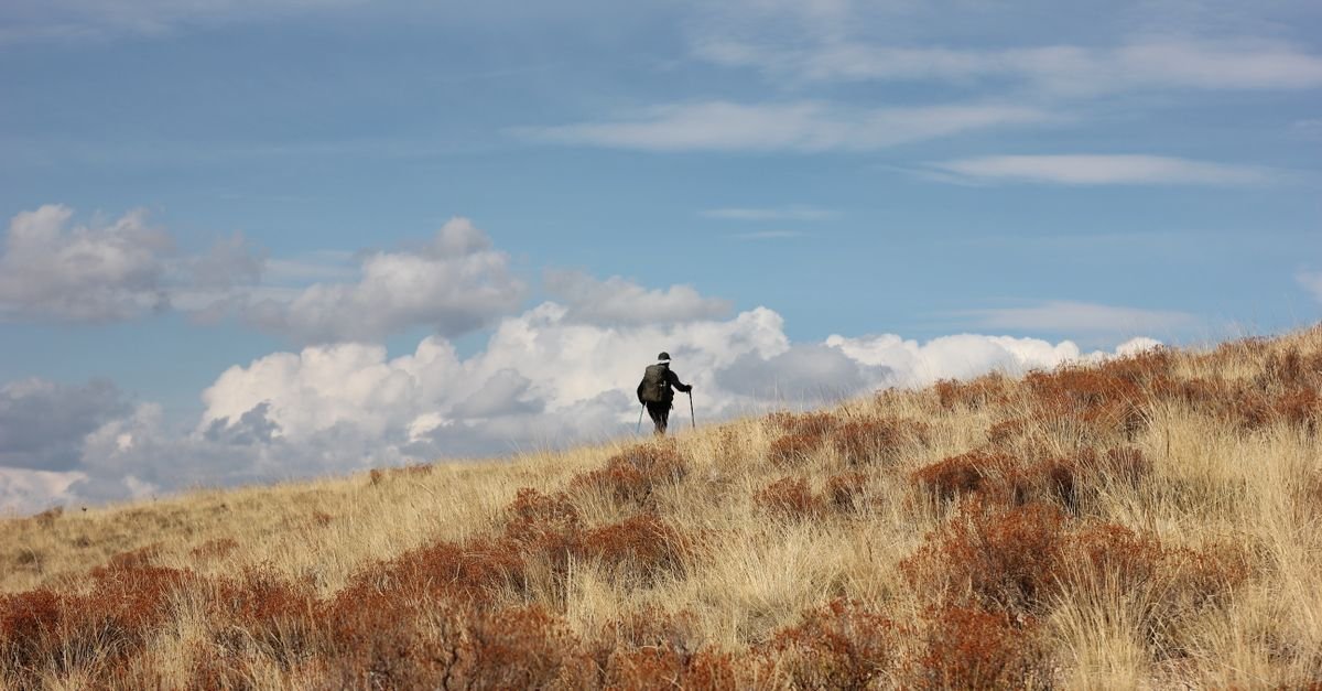 Hiking Alone for the First Time: Safety Tips That Actually Work